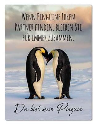 Magnet - DU BIST Mein Pinguin - MN29 Kühlschrankmagnet 3D