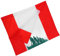 Vaguelly Drapeau Liban Polyester Drapeau et Portable pour Célébrations Événements Scolaires et Décorations Intérieures Extérieures Design avec Manchon pour Mât
