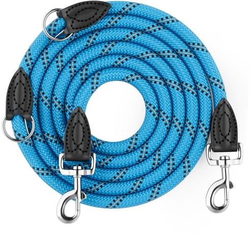 Aystkniet Laisse Chien 2M, Réglabl 2 Point Laisse Multiposition Gros canin