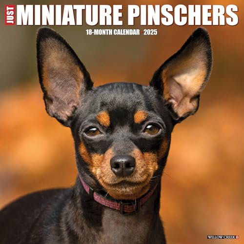 Miniature Pinschers 2026 12 X 12 Wall Calendar