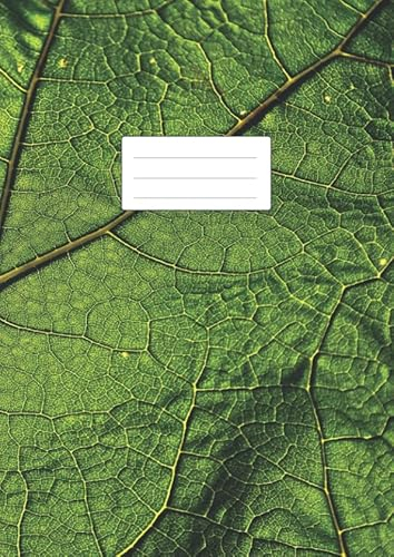 NOTENHEFT DIN A4 BLANKO - GRÜN: 110 Seiten | 55 Blatt | Musik Unterricht Komposition | Schule + Studium | 12 Systeme mit Seitenzahlen