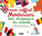 Mon coffret Montessori des drapeaux du monde - Dès 6 ans