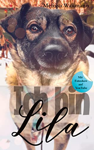 Ich bin Lila: Ein Tierschutzhund mit Trauma entdeckt das Leben.DE