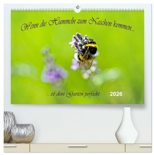 Wenn die Hummeln zum naschen kommen, ist dein Garten perfekt (hochwertiger Premium Wandkalender 2026 DIN A2 quer), Kunstdruck in Hochglanz: Insekten in einer bunten Blütenwelt (CALVENDO Tiere)
