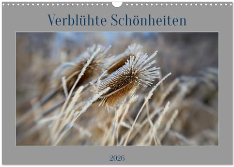 Verblühte Schönheiten (Wandkalender 2026 DIN A3 quer), CALVENDO Monatskalender: Die Ästhetik verblühter Pflanzen (CALVENDO Natur)