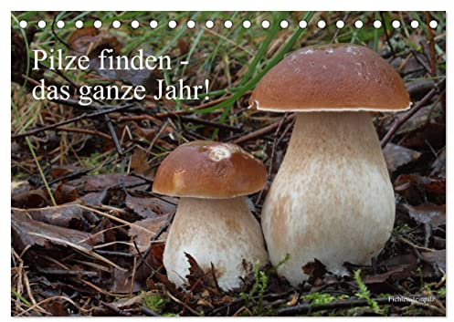 Pilze finden - das ganze Jahr! (Tischkalender 2026 DIN A5 quer), CALVENDO Monatskalender: Heimische Speisepilze in Zuordnung zu ihrem Wachstumsmonat (CALVENDO Orte)