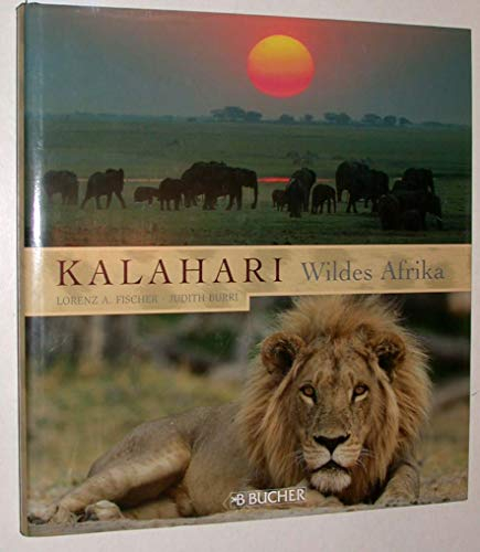 Kalahari - Wildes Afrika