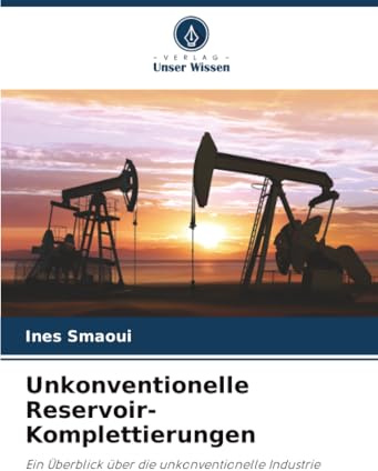 Unkonventionelle Reservoir-Komplettierungen: Ein Überblick über die unkonventionelle Industrie