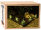 Gartenpirat 5X Tanne mit LED beleuchtet für Blumenkasten Garten Deko Weihnachten