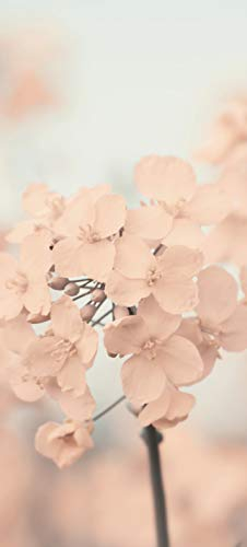 Bilderdepot24 Türtapete Hortensie 90 x 200 cm - einteilig Türaufkleber Türfolie Türposter - Blume Pflanze Natur Pastell