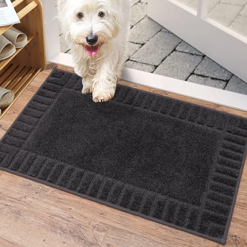 BEQHAUSE Fußmatte Innen, waschbare Sauberlaufmatte TPR rutschfeste Türmatte, Schmutzfangmatte für Haustür, super saugfähiger Fussmatte Teppich für Eingang, Haustiere und Hunde - Dunkelgrau, 50x80cm