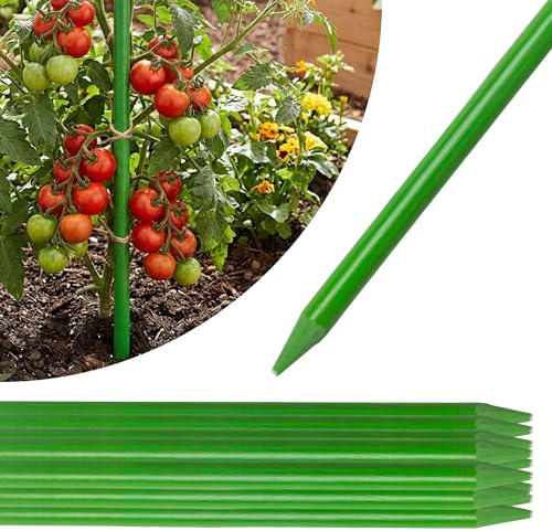 STREND PRO Pflanzstäbe 120 cm - 25er Set | Ø 7 mm Fiberglas Rankstab Grün | Flexible Pflanzenstütze & Rankhilfe für Paprika | Wetterfeste Pflanzenstütze | Glasfiberstäbe, Stab