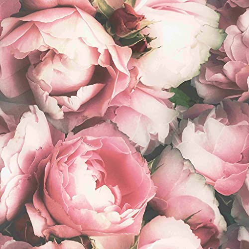 Fresco Blossom Pink Wallpaper