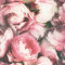 Fresco Blossom Pink Wallpaper