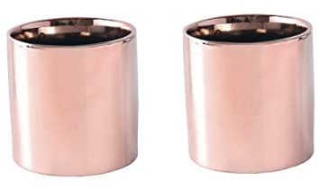 Toddmomy 2pcs Succulent Flowerpot Plant Pot Rose Gold Finish Small Round Decor for Home Office