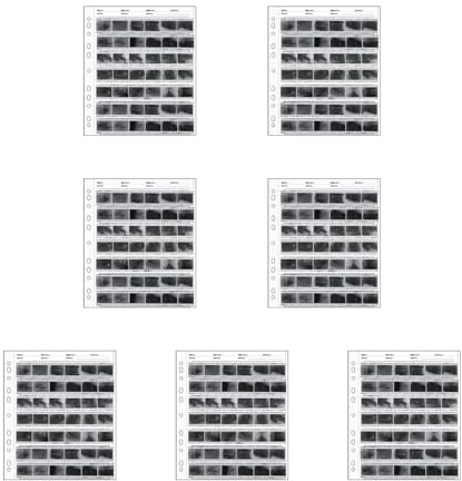 Archivspeicherblätter 135/120/45 Negative Filmseiten Ordner Album Archivblätter 135/120/45 Negativseiten