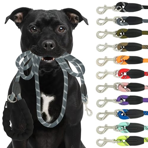 Reichstadt Pets Hundeleine 25RSP084 Grey 1,5m | Weiches Nylon mit EVA-Griff, reflektierend, drehbarer Metallhaken | robuste Führleine für kleine, mittelgroße, große Hunde