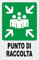 NEW CARTELLO SEGNALETICO - PUNTO DI RACCOLTA - Adesivo Extra Resistente, Pannello in Forex, Pannello In Alluminio (PANNELLO IN FOREX 20X31 cm)