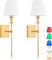 Aiehnid Battery Operated Wall Lights Set of 2,Gold Rechargeable Wall Lights with Remote Wireless Light for Wall,9 Colors Modes Cordless Indoor Battery Wall Sconce for Bedroom Living Room Hallway