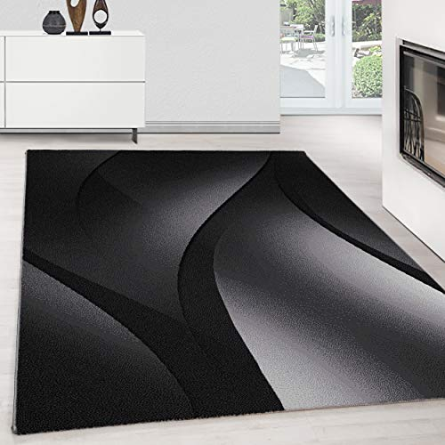 Teppium Moderner Kurzflor Teppich Wohnzimmer 140 x 200 cm Schwarz - Flauschiger Teppich Waschbar, Ombre Design, Pflegeleicht, Weich - Ideal für Schlafzimmer, Esszimer und als Küchenteppich
