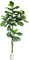 Leflos 180cm higuera Artificial pequeña para Interior, Plantas Artificiales Tropicales en macetas Blancas, Bonita decoración para el hogar