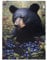 Snugozo Bear In The Orchard Jigsaw Puzzle 500 Pieces, Fun Wooden Puzzles, Adult Entertainment Game, Exercise Your Hands-On Skills, Stress Relief, Suitable For Family Fun During The Holidays