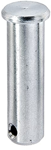 Alberts 417147 Bolzen zu Torbändern | Edelstahl | 66 x 23 mm | M20