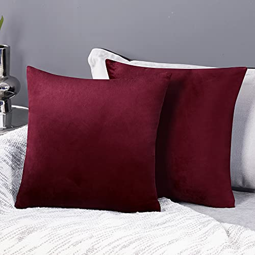 Deconovo Kissenbezug Samt Kissenbezüge Sofa Zierkissenbezüge Weich Kissenhülle Dekor Schlafzimmer Sofakissen Wohnzimmer Dekokissen Kissenhüllen Couch Büro, 45x45 cm, Weinrot, 2er Set