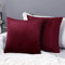 Deconovo Kissenbezug Samt Kissenbezüge Sofa Zierkissenbezüge Weich Kissenhülle Dekor Schlafzimmer Sofakissen Wohnzimmer Dekokissen Kissenhüllen Couch Büro, 45x45 cm, Weinrot, 2er Set