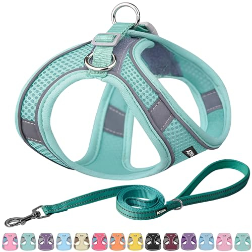AIITLE Escape Proof Hundegeschirr - Step in einstellbares Hundegeschirr ohne Würgeeffekt mit atmungsaktivem Mesh und Schnellverschluss - Outdoor Walking, Training für mittlere Hunde Reines Türkis XL