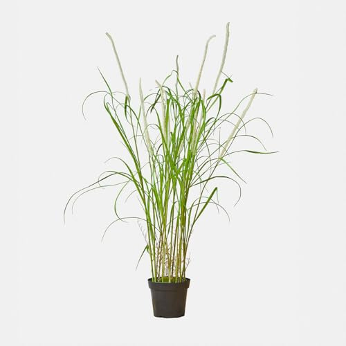 Loberon Deko-Schilfpflanze Clarisa - Naturnahe Nachbildung - Langlebig - Kunstpflanze - Dekoration - Eisendraht - Polyethylen, grün/weiß