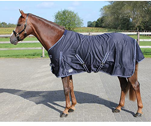 QHP Sommerdecke Basic (145cm)