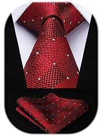HISDERN Krawatten Dunkelrot Herren Formelle Klassische Krawatte mit Einstecktuch Hochzeit Karierte Herrenkrawatte und Taschentuch Set für Männer