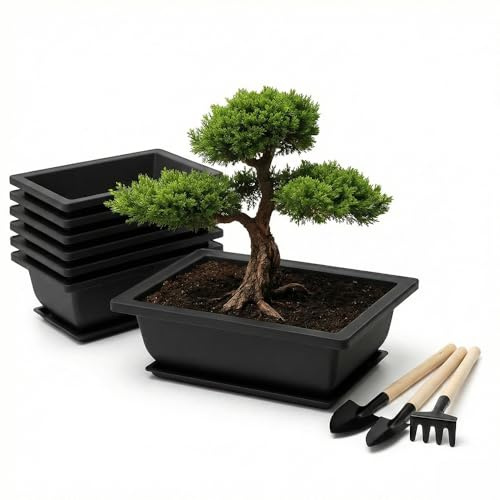 ULISSE 6 cuencos rectangulares para bonsái, 16,5 x 12 x 6 cm, reutilizables, ecológicos, para bonsái, macetas, para jardín, oficina, salón, balcón