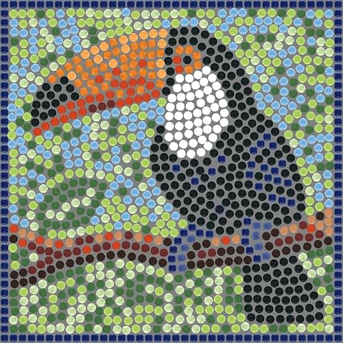 ALEA Mosaic Art and Craft Kit for Adults, Toucan Mosaic Making Kit, 20 x 20 cm (7.9 x 7.9 inch), Nature Theme, All Seasons, Mini Ceramic Stones with Wooden Base, 1.02 Grams