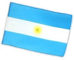 Fahne Flagge Argentinien 30 x 45 cm