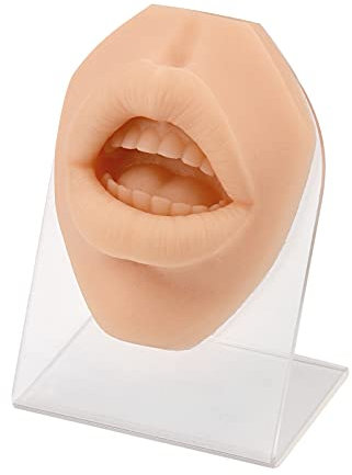 Medarchitect Soft Silicone Lip Piercing Model with Acrylic Stand, Flexible Lip Mold for Piercing Practice, Rubber Lip for Jewelry Display
