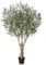 VeriNatural Künstlicher Olivenbaum 210cm - Kunstpflanze groß mit UV-beständigem, Deko Pflanze mit stabilem Baumstamm - Zimmerpflanze für Wohnzimmer, Büro, Balkon, Garten, Badezimmer,VN160