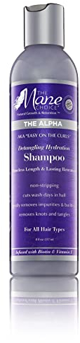 The Mane Choice Easy On The Curls Detangling Hydration Shampoo