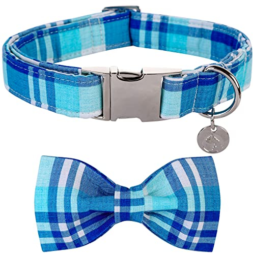 DOGWONG Hundehalsband mit Abnehmbarer Fliege, Blaues Plaid Haustierhalsband Hundefliege Geschenk für Mädchen oder Jungen Hunde, Bequeme verstellbares Hundehalsband für kleine mittelgroße Hunde