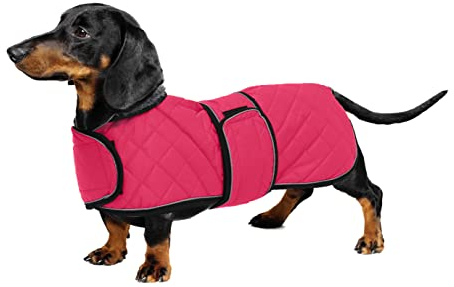 Geyecete - Warmer wintermantel für dackel Hunde,Hunde Winterjacken mit plüschfutter,Outdoor jacken mit verstellbaren gürtel und Kabelbaumloch,für mittelgroße und Kleiner dackel-Rosa-XS