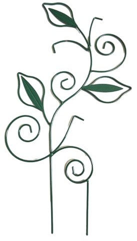 Csnbfiop Plante grimpante en pot - Pour l'intérieur et l'extérieur - Légumes floraux - Plante grimpante