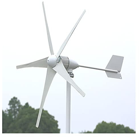 Generatore a turbina a vento da 1kW 24V 48 V for uso domestico comprende il regolatore di carica libera - Eolico onshore(24_1000W)