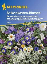 Kiepenkerl Blumen-Mix 'Meeresrauschen', 1 Tüte Samen für 4 Meter Balkonkasten
