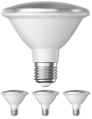 ledscom.de 4 Stück E27 LED Leuchtmittel, PAR30 kurzer Hals, weiß (4200 K), 13 W, 1025lm, 43°, Reflektorspiegel (silber)