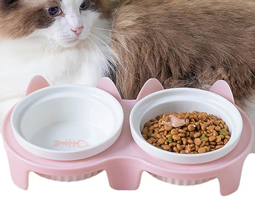 Raised Ceramic Cat Bowls with Stand, Elevated Tilted Cat Feeding Bowls for Cats and Small Dogs, Anti Slip Cat Food and Water Bowls
