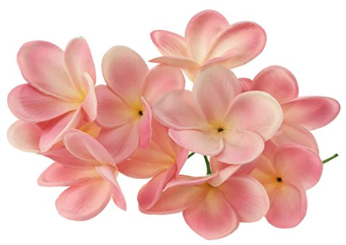 Künstliche Lei-Blumen, hawaiianische Blüten, Latex, für Hochzeitsstrauß, Partys, Feste, 10 Stiele rose