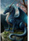 NAIMOER Dragon Peinture Diamant Adulte, Diamond Painting Complet,Dragon Diamant Painting Animaux Kit Enfants Diamant Strass Point de Croix Cristal Painting pour Murale Décor 30x40cm