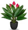 Briful Künstliche Pflanze Wie Echt Kunstpflanze Dekopflanze Calathea Buschig mit 22 Blättern im Kunststofftopf Zimmerpflanze, Höhe 43cm, Grün