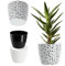 KADAX Plastic Flower Pot, Lightweight Planter with Unique Design for Living Room, Hallway, Bedroom, Indoor Plant Pot for Houseplants (⌀ 17 cm, Black)